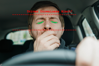 Driver monitoring