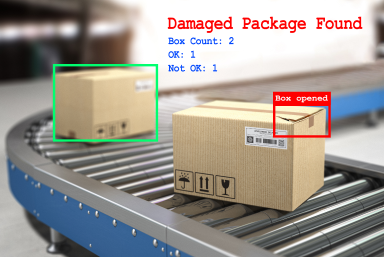 Damage and Quality Inspection