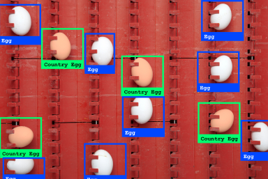 Sorting and classification